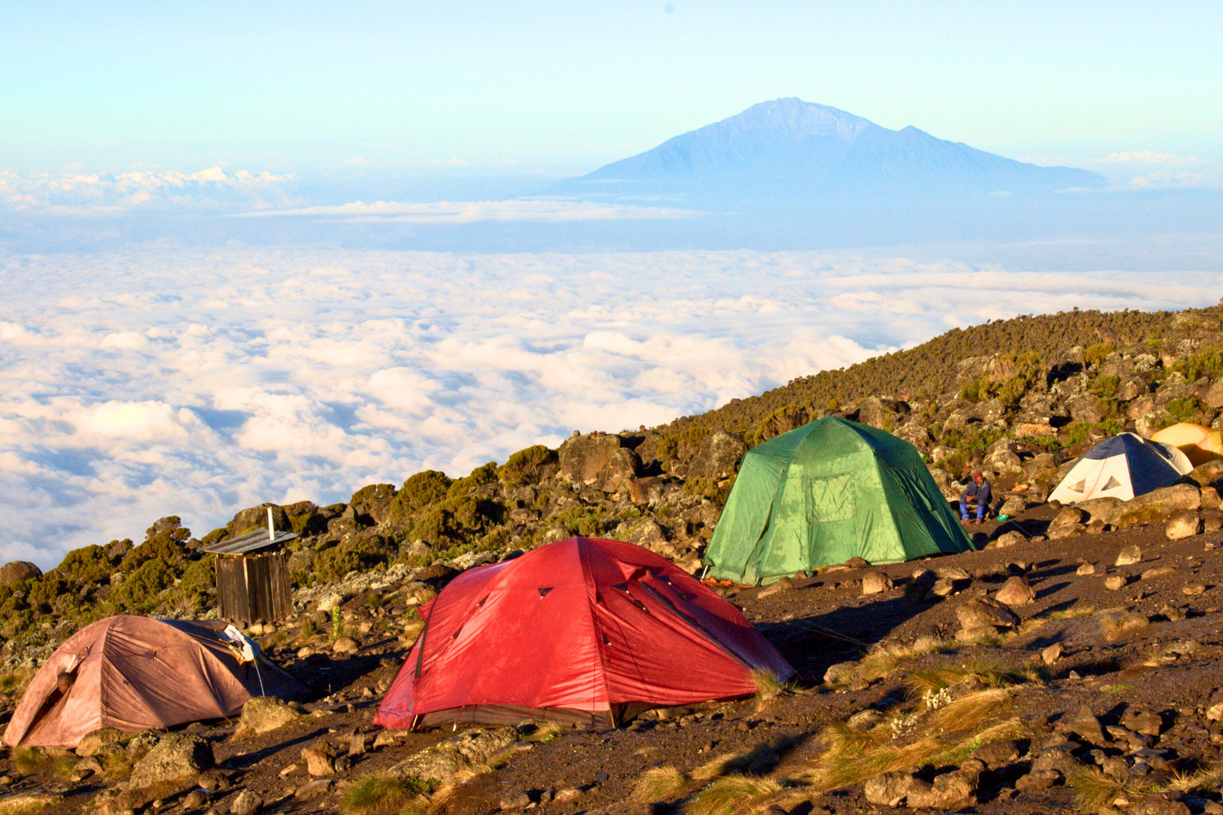 mti mkubwa camp (3).webp